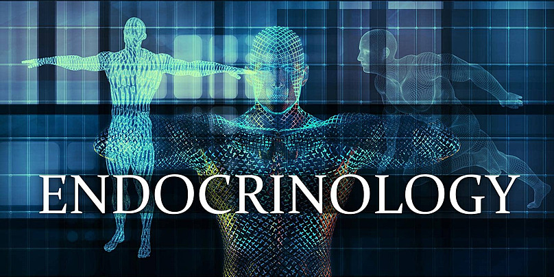 endocrinology services